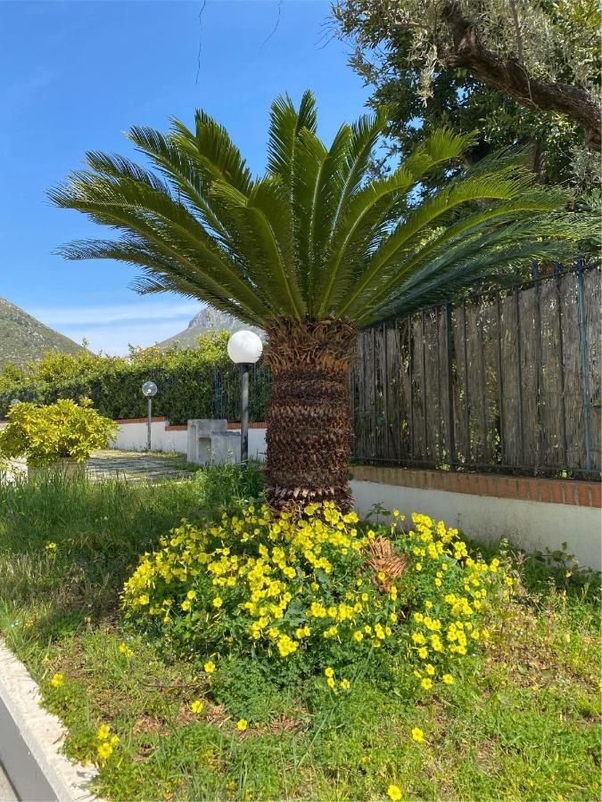 דירות ספרלונגה Residenza Le Spiagge מראה חיצוני תמונה