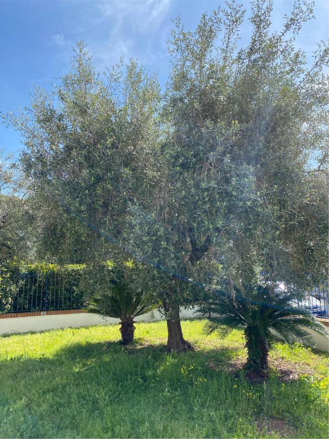 דירות ספרלונגה Residenza Le Spiagge מראה חיצוני תמונה