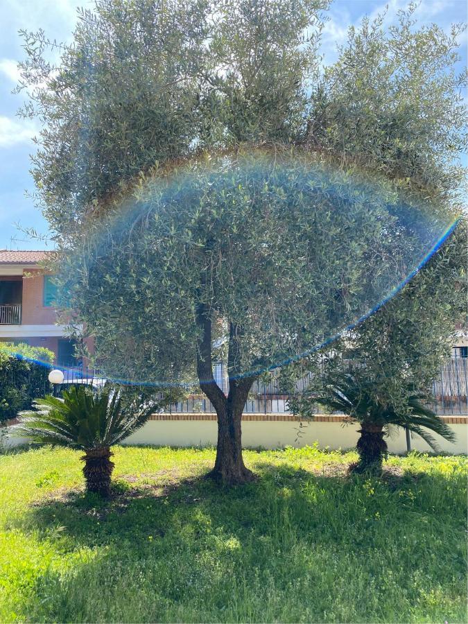 דירות ספרלונגה Residenza Le Spiagge מראה חיצוני תמונה
